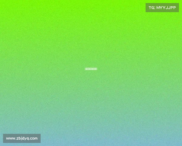 老帅是什么战队的